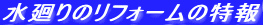 �����̃��t�H�[���̓���